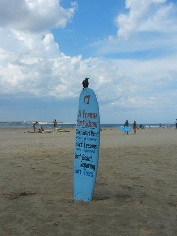 il paradiso del surf